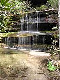            - 2010 Spring Sheltowee Trace Pickett State Park to Hemlock Grove group1