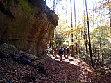 2011 Fall Laurel Hill Multi Use Trail to Maudes Crack