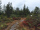 2019 Fall Dolly Sods WV