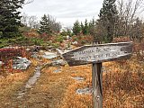 2019 Fall Dolly Sods WV