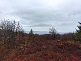 2019 Fall Dolly Sods WV