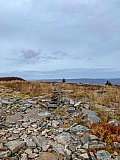 2019 Fall Dolly Sods WV