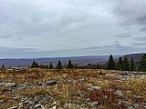 2019 Fall Dolly Sods WV