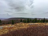 2019 Fall Dolly Sods WV