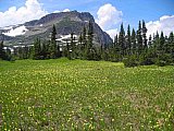 2008 Glacier