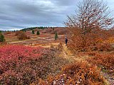 2019 Fall Dolly Sods WV