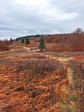 2019 Fall Dolly Sods WV
