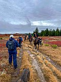 2019 Fall Dolly Sods WV