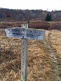 2019 Fall Dolly Sods WV