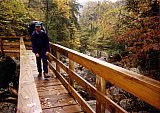 1997 Fall Sheltowee Cumberland Falls To Laurel Lake