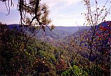 1998 Fall Sheltowee Zacharia to Mariba