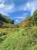 2022-Fall AT-Roan Mtn