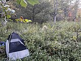 2022-Fall AT-Roan Mtn