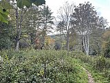 2022-Fall AT-Roan Mtn