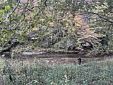 2022-Fall AT-Roan Mtn