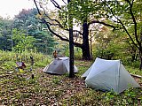 2022-Fall AT-Roan Mtn
