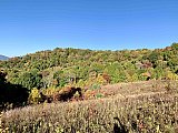 2022-Fall AT-Roan Mtn