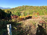 2022-Fall AT-Roan Mtn