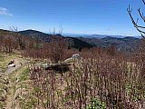 25 25 1258 - 2021 Spring Backpacking Middle Prong Wilderness NC