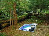 2003 Snake Den Ridge