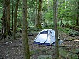 2003 Snake Den Ridge