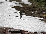 2008 Glacier