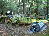 2003 Snake Den Ridge