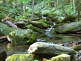 2003 Snake Den Ridge