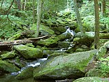 2003 Snake Den Ridge