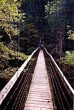 1998 Fall Sheltowee Zacharia to Mariba