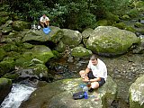 2003 Snake Den Ridge