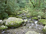 2003 Snake Den Ridge