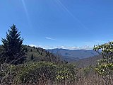 43 25 0248 - 2021 Spring Backpacking Middle Prong Wilderness NC