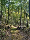 2025 Fall BP Smoky Mtns Abrams Falls