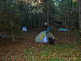 2007 Fall Hemphill Bald