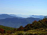 2007 Fall Hemphill Bald