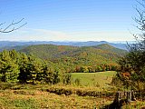 2007 Fall Hemphill Bald