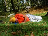 2007 Fall Hemphill Bald