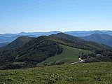 2007 Fall Hemphill Bald