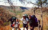 2001 PetersMtn Marks Branch